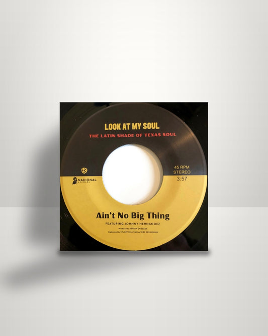 Johnny Hernandez / Black Pumas featuring Kam Franklin – Ain't No Big Thing / Look At My Soul - 7" - Nacional Records US 2020
