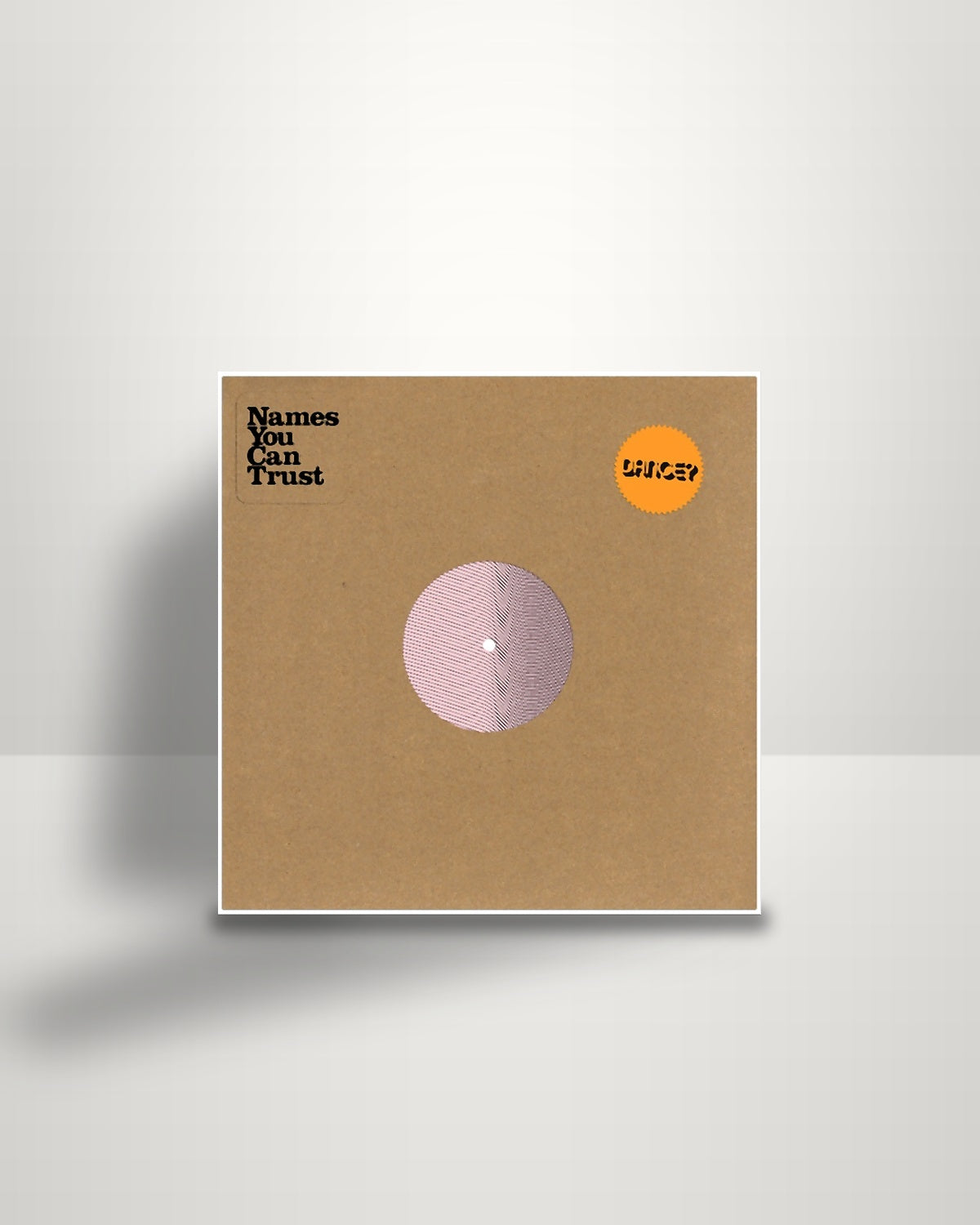 NY Hustlers – Money Kill The Truth - 12" - Names You Can Trust US 2015