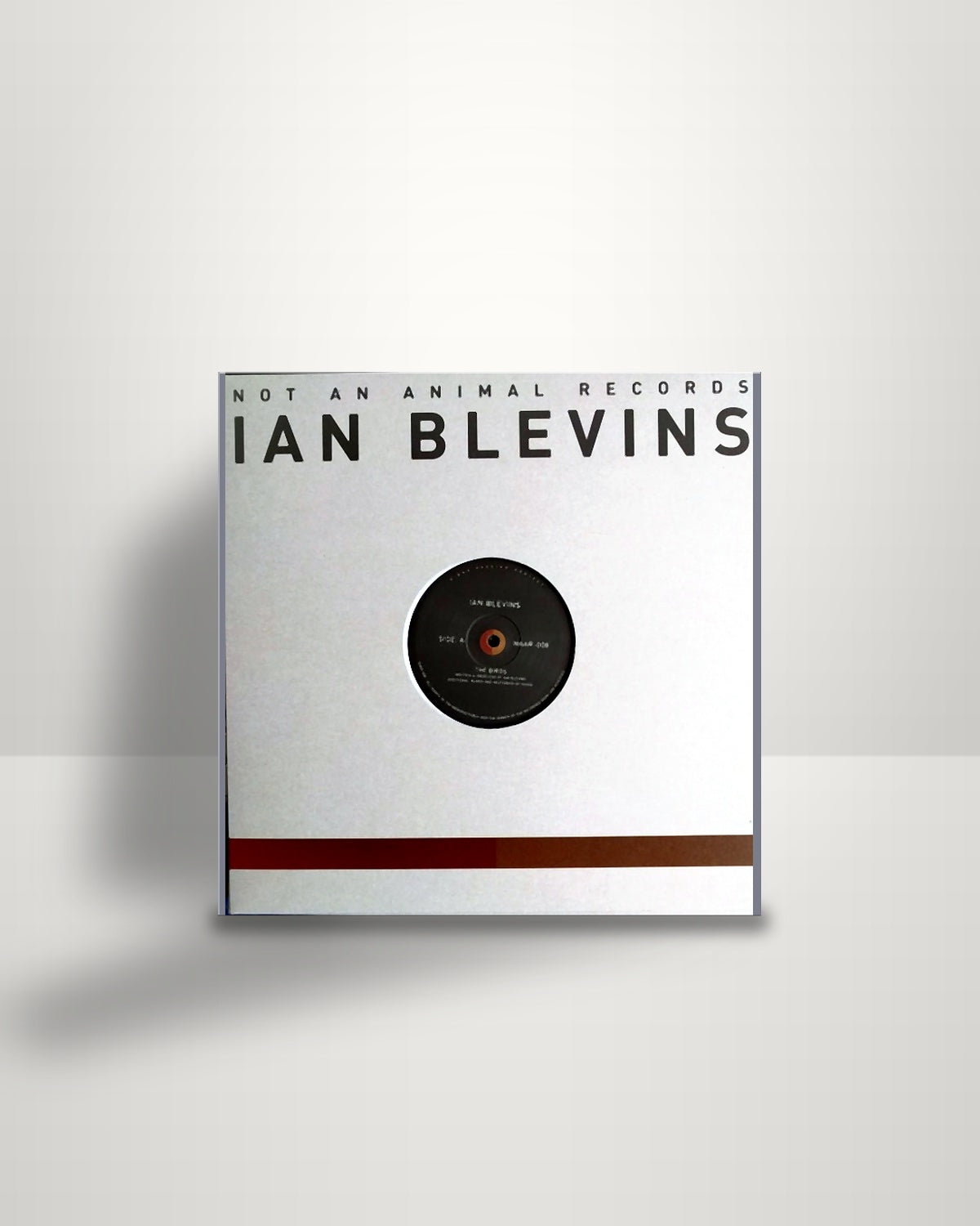 Ian Blevins – The Birds - 12" - Not An Animal Records UK 2017