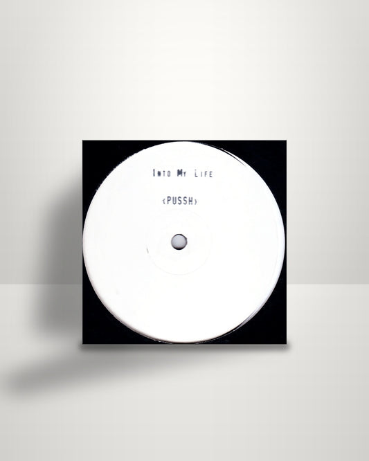 Pussh – Into My Life - 12" - Not On Label UK 1991