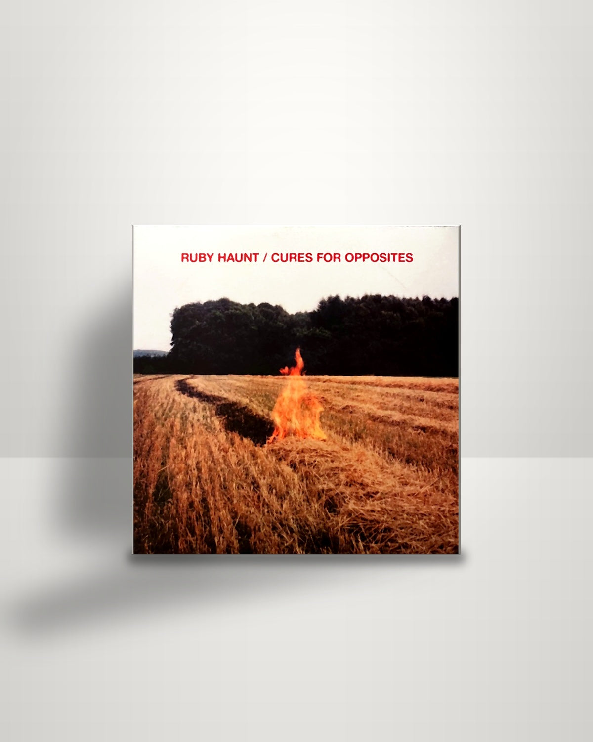 Ruby Haunt – Cures for Opposites - LP - Not On Label (Ruby Haunt Self-released) 2022