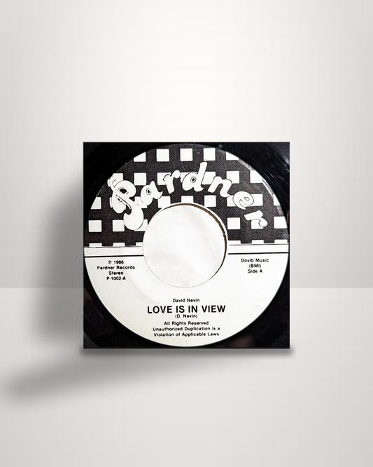 David Nevin – Love Is In View - 7" - Pardner US 1986