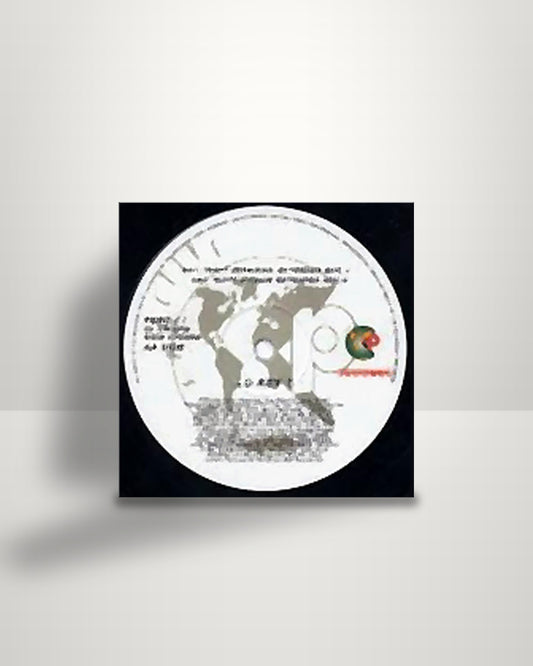 Lo-Key? – Tasty (Indasoul & Denair Remixes) - 12" - Perspective Records UK 1994