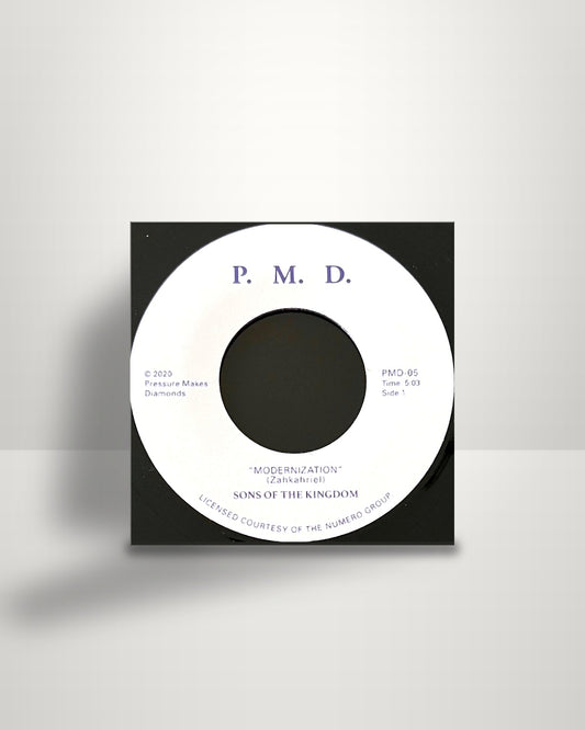 Sons Of The Kingdom – Modernization - 7" - Pressure Makes Diamonds UK 2020