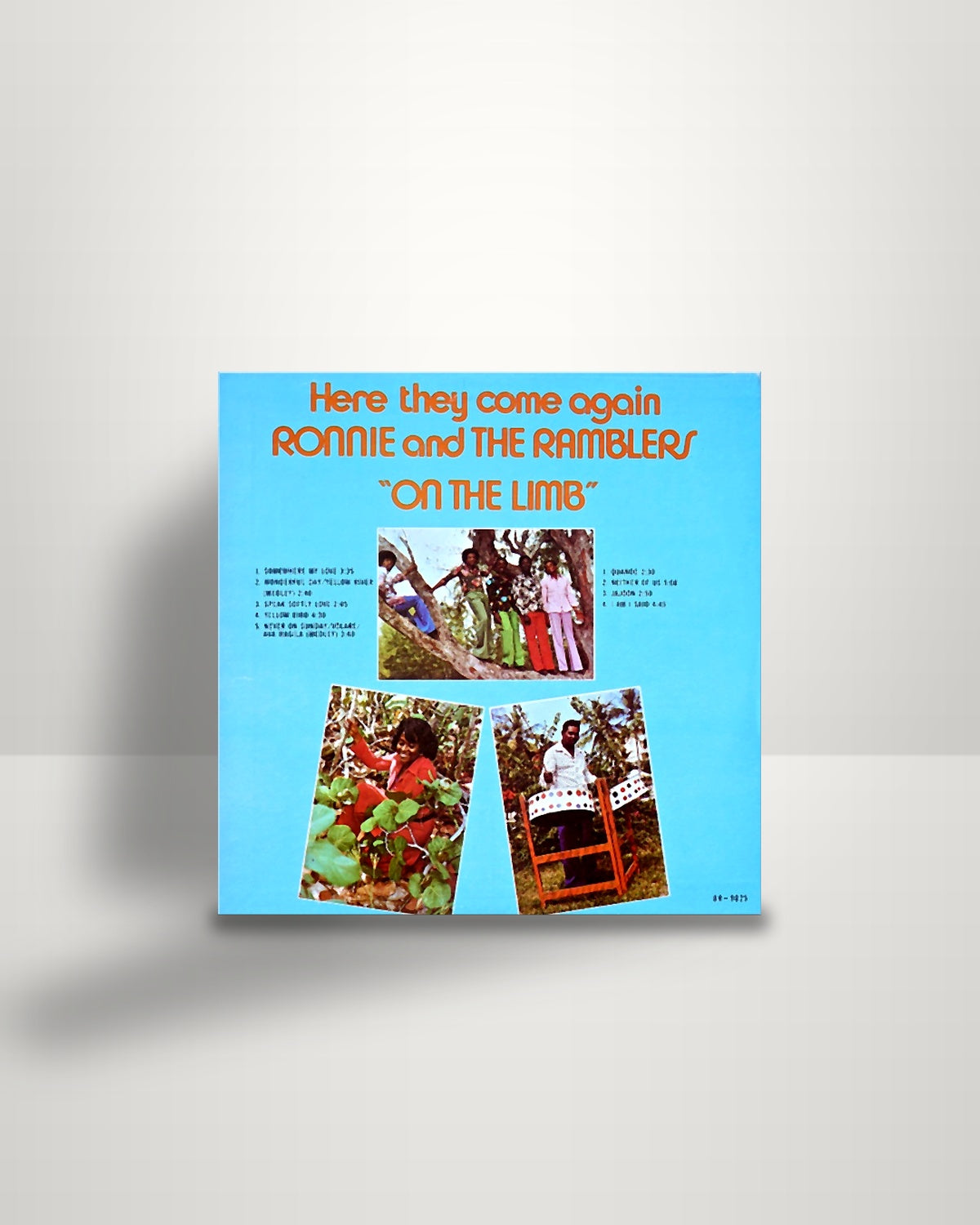Ronnie Butler & The Ramblers – Here They Come Again - On The Limb - R & R Records US