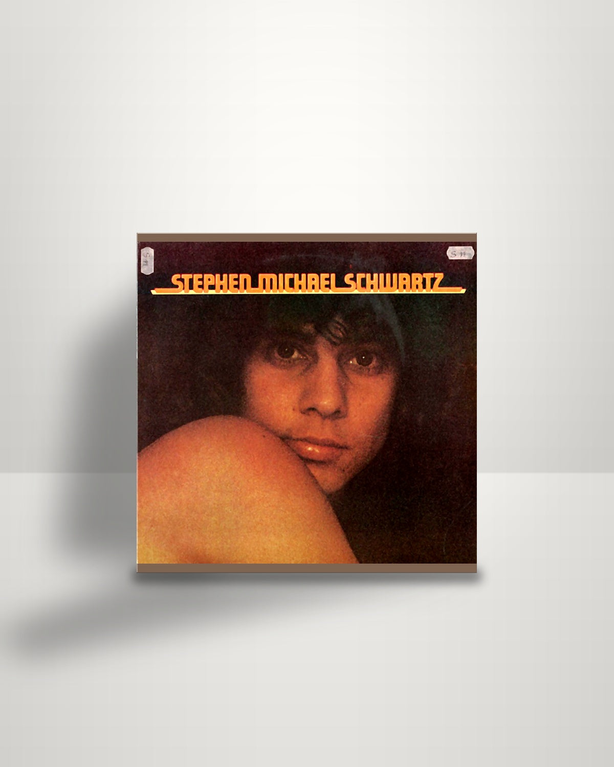 Stephen Michael Schwartz – Stephen Michael Schwartz - LP - RCA US 1974