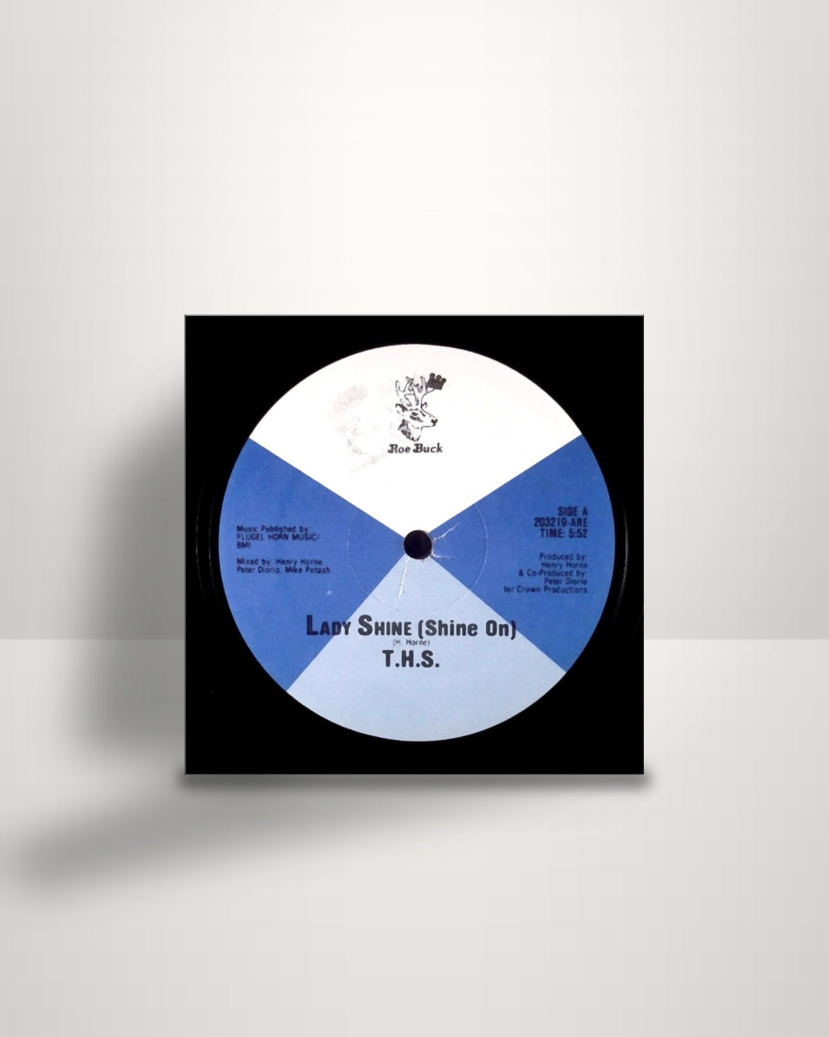 The Horne Section – Lady Shine (Shine On) - 12" - Roe Buck US