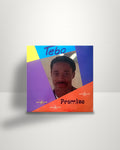 Tebo Moema – Promise - LP - Sahara Records US 1989