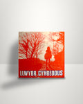 Llwybr Cyhoeddus – Dawns y Dail / Yn Yr Oriel - 7" - Sain UK 1985