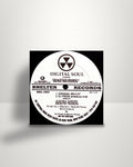 Digital Soul – Ain't No Place - 12" - Shelter Records US 1997