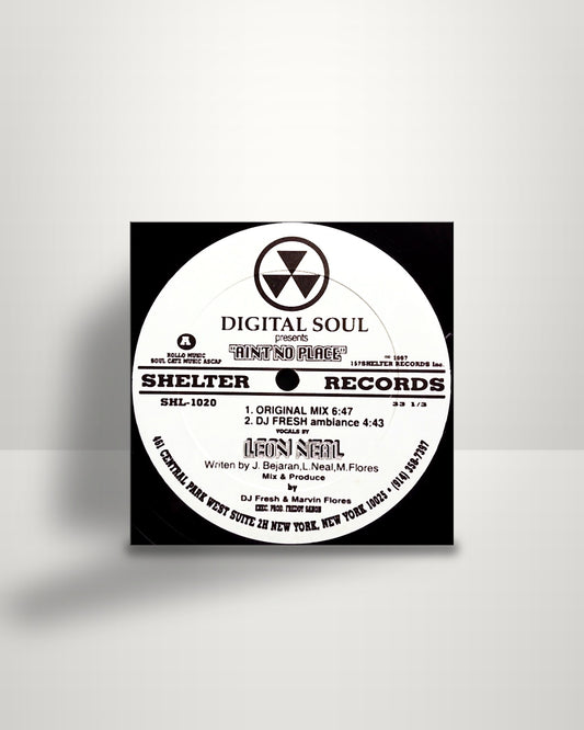 Digital Soul – Ain't No Place - 12" - Shelter Records US 1997