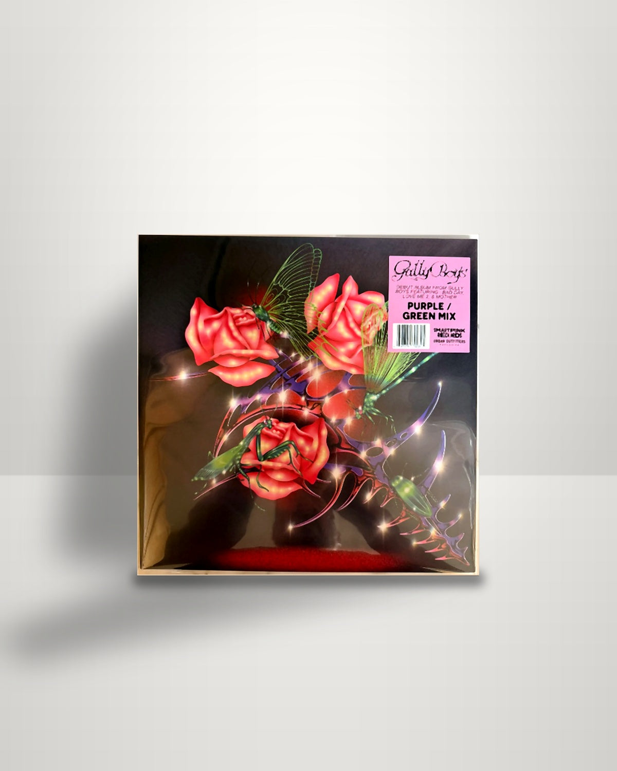 Gully Boys – Gully Boys - LP - Smartpunk Records US 2025