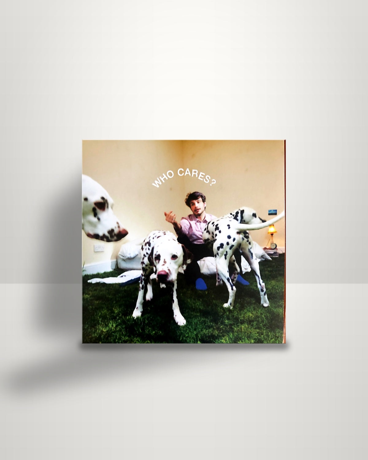 Rex Orange County – Who Cares? - LP - Sony Music US 2022