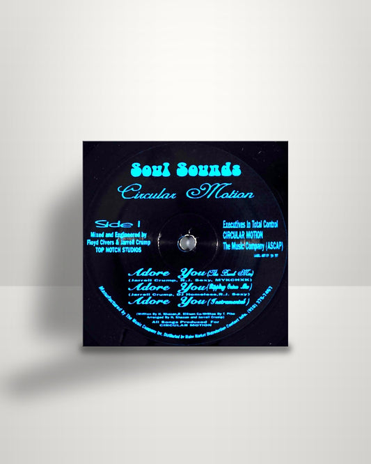 Circular Motion – Adore You - 12" - Soul Sounds US