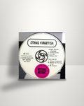 DJ Stefan Egger – Ethno Vibration - 12" - Sound Station Records AT 1999
