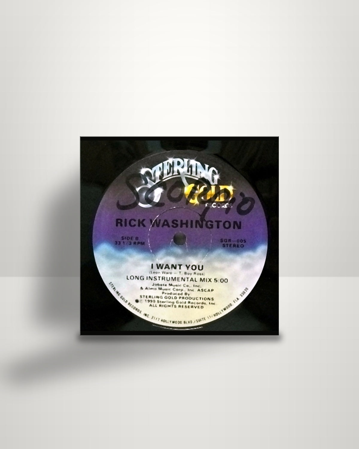 Rick Washington – I Want You - 12" - Sterling Gold Records US 1990