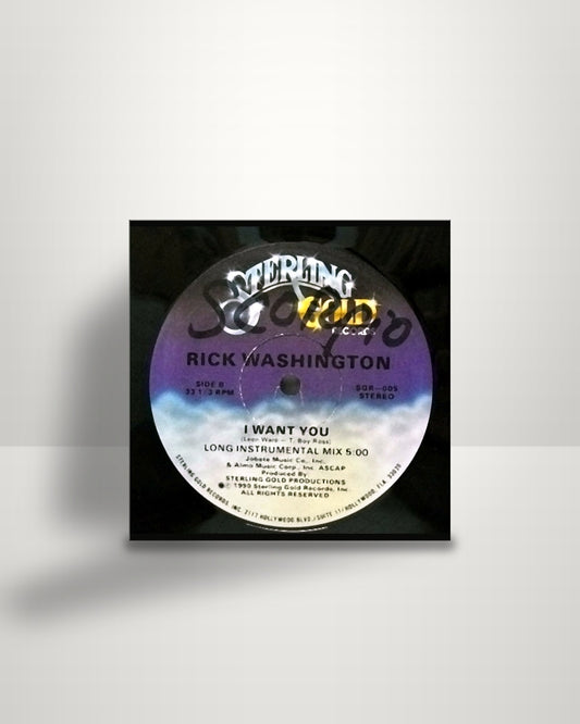 Rick Washington – I Want You - 12" - Sterling Gold Records US 1990