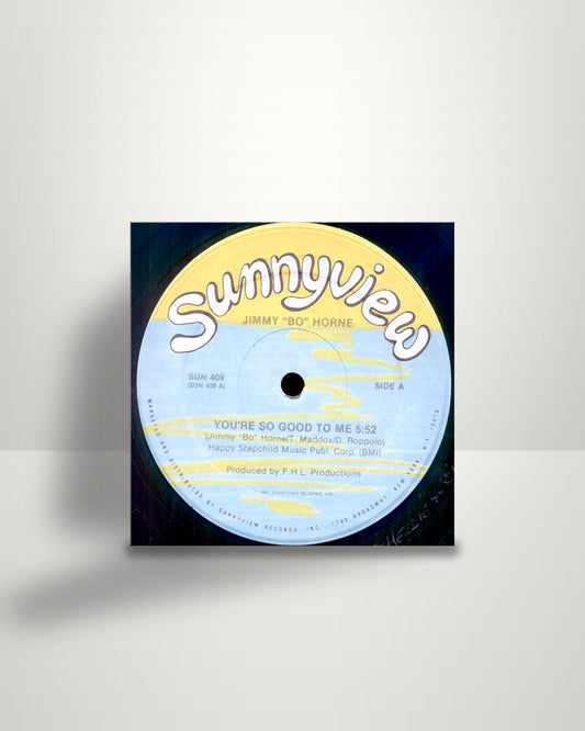 Jimmy "Bo" Horne – You're So Good To Me - 12" - Sunnyview US 1983