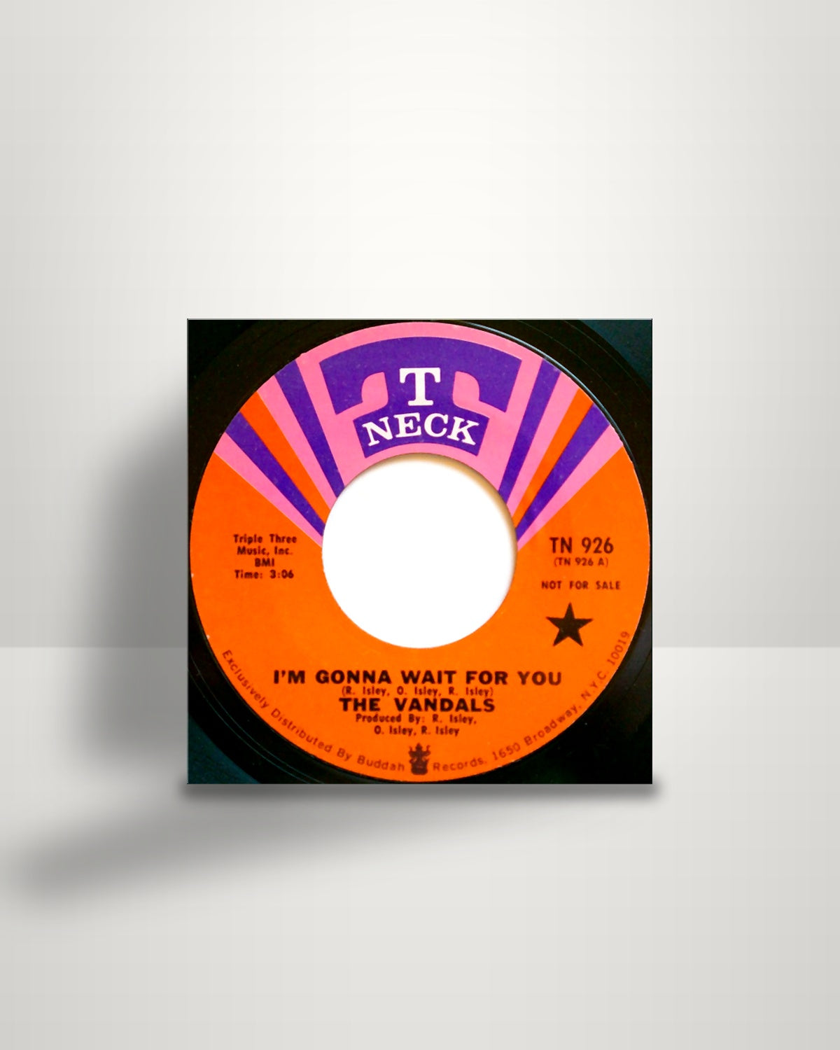 The Vandals – I'm Gonna Wait For You - 7" - T-Neck US 1970