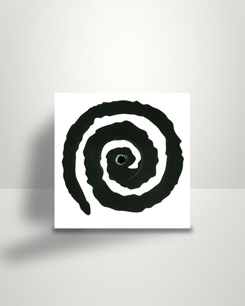 Anil Aras – 1994 / You & I - 12" - Tomorrow Is Now, Kid! NL 2013