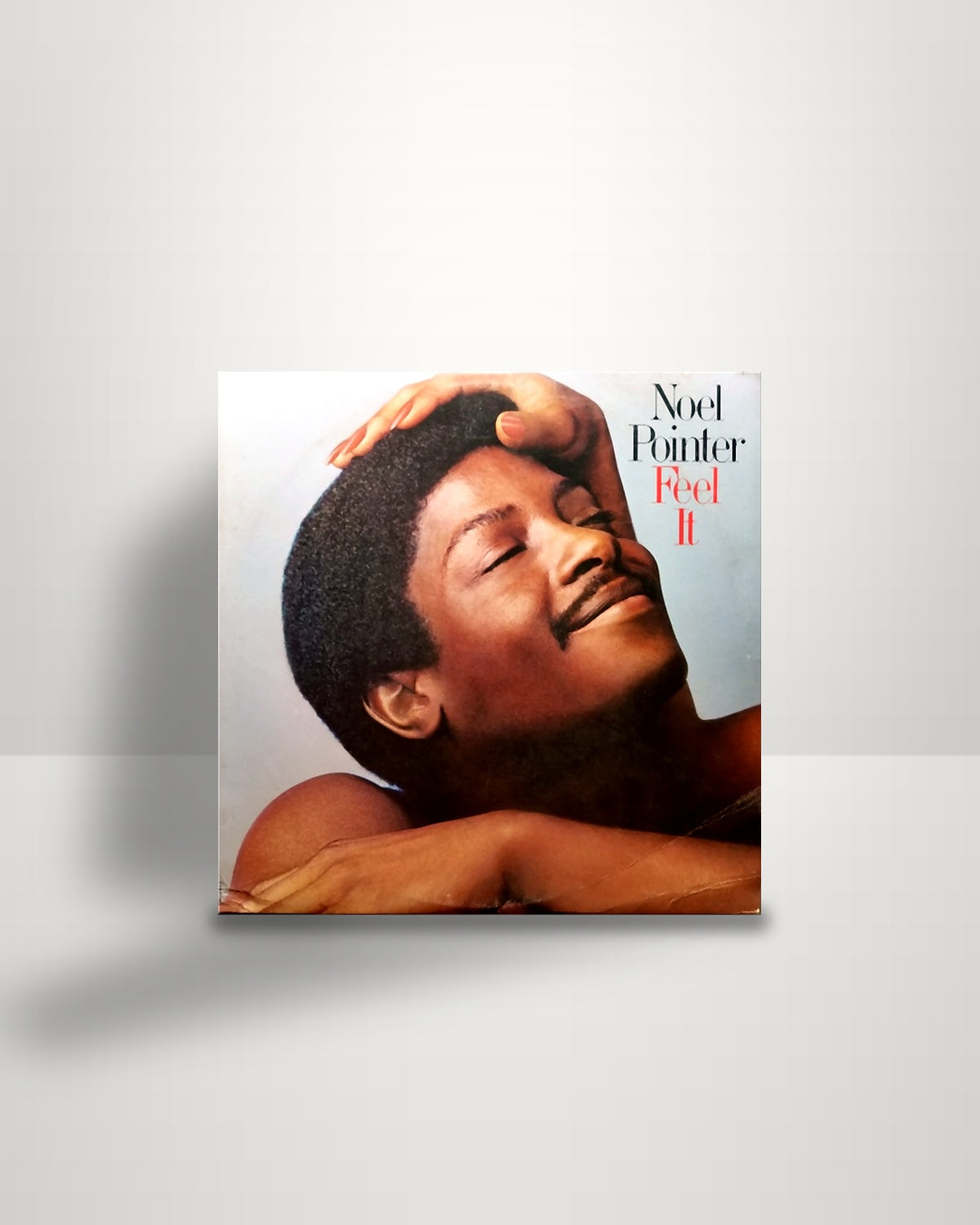 Noel Pointer – Feel It - LP - United Artists Records US 1979