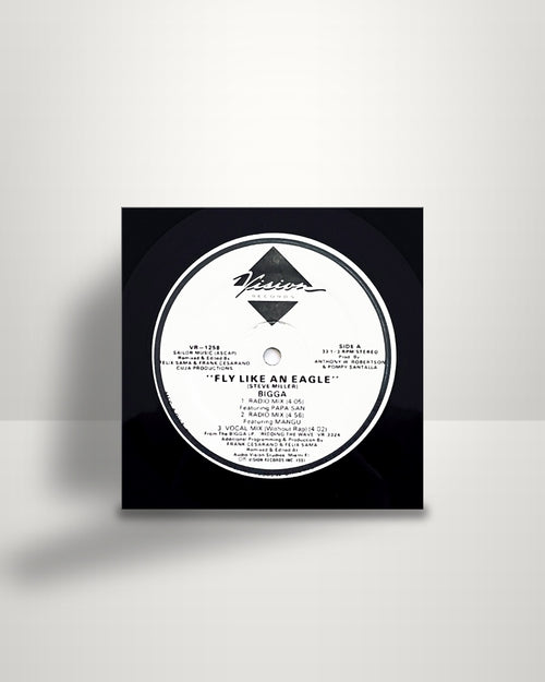 Bigga – Fly Like An Eagle - 12" - Vision Records US 1991