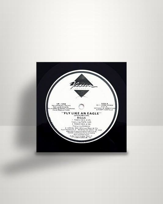 Bigga – Fly Like An Eagle - 12" - Vision Records US 1991