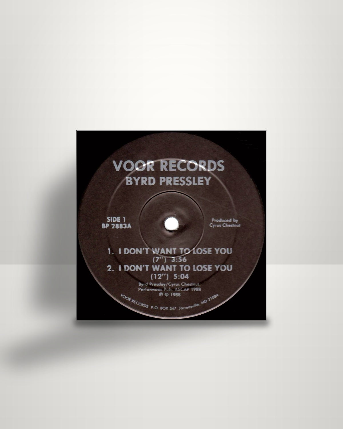 Byrd Pressley – I Don't Want To Lose You - 12" - Voor Records US 1988