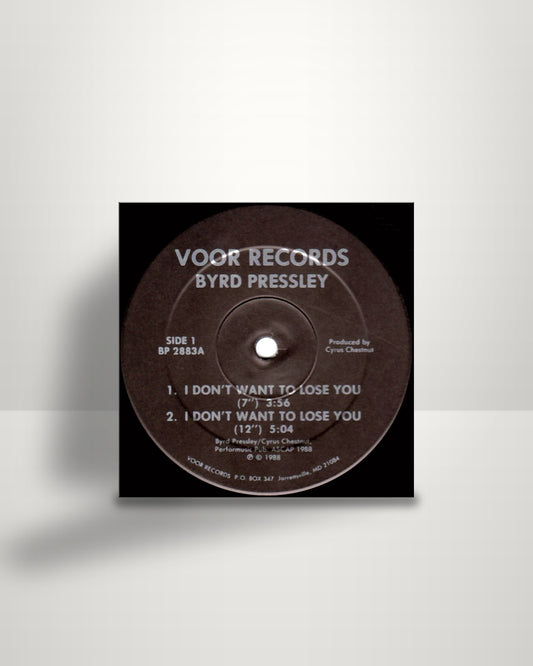 Byrd Pressley – I Don't Want To Lose You - 12" - Voor Records US 1988