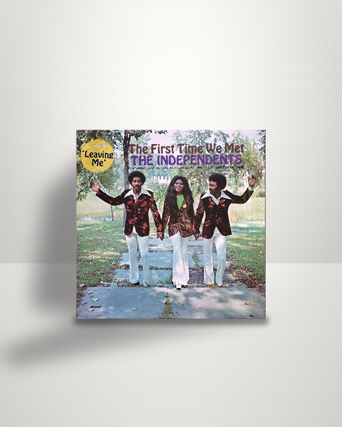 The Independents – The First Time We Met - LP - Wand US 1972