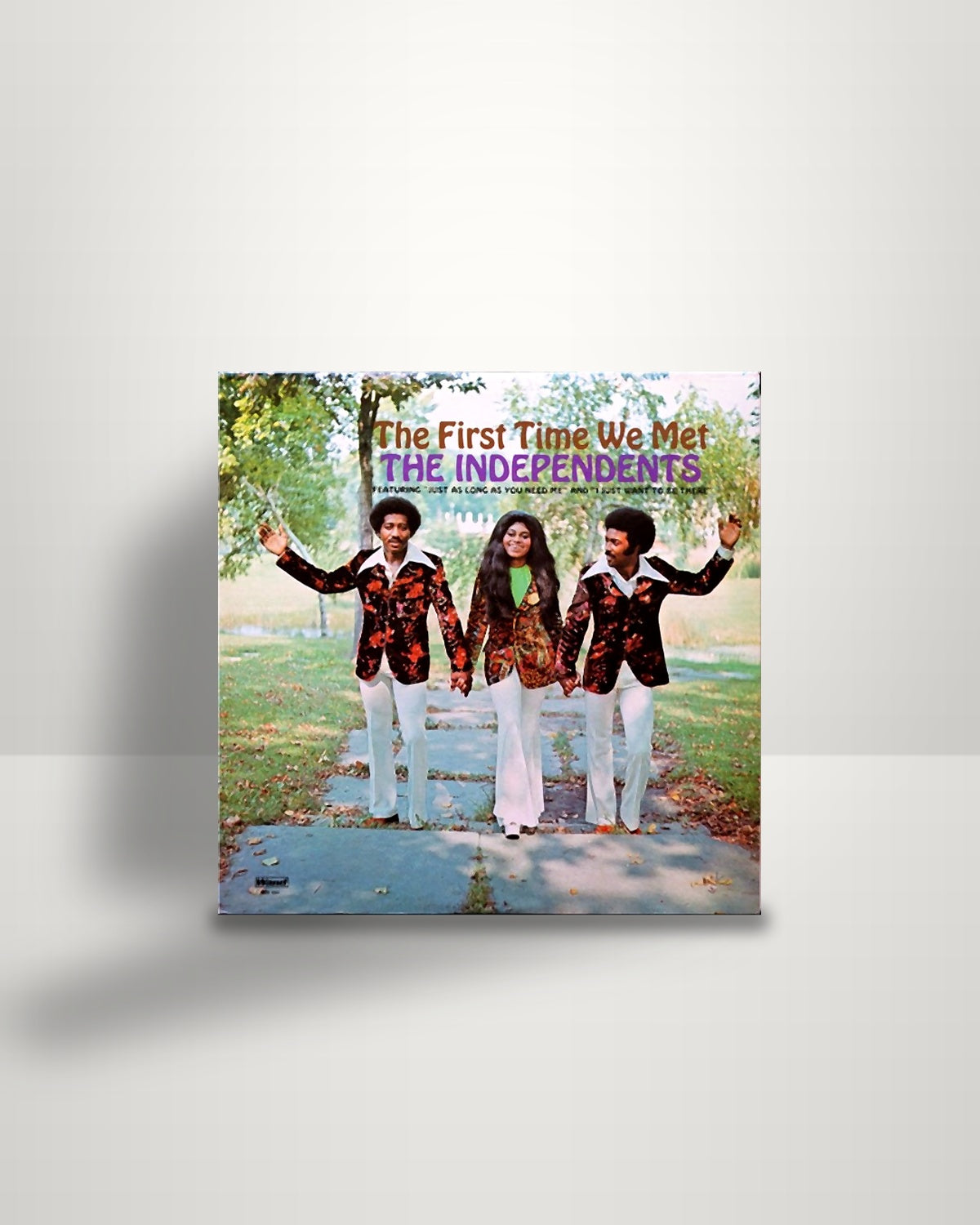 The Independents – The First Time We Met - LP - Wand US 1972