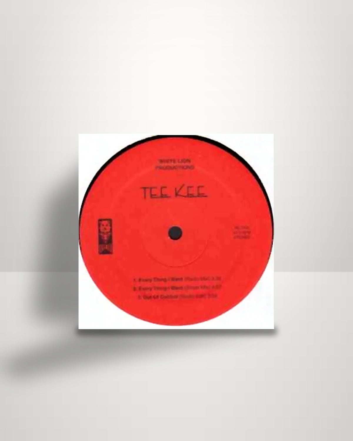 Tee Kee – Every Thing I Want - 12" - White Lion Productions US 1998