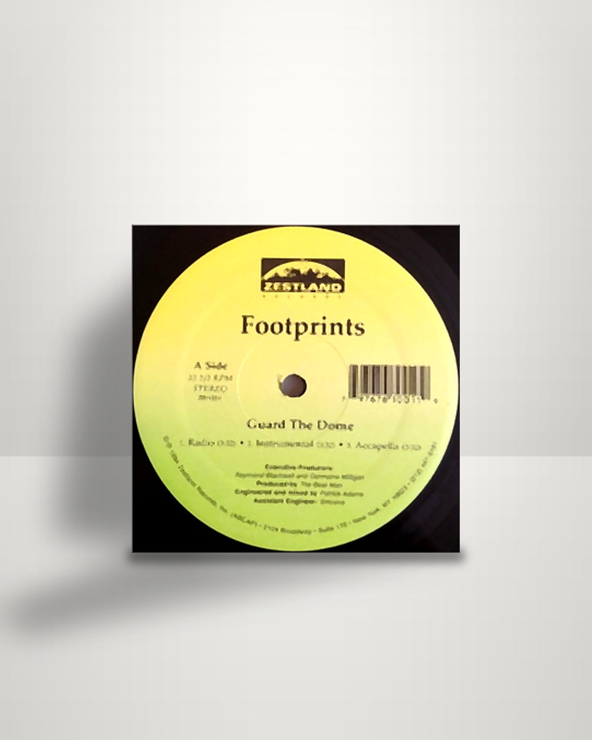 Footprints – Guard The Dome / Pelan - 12" - Zestland Records US 1994